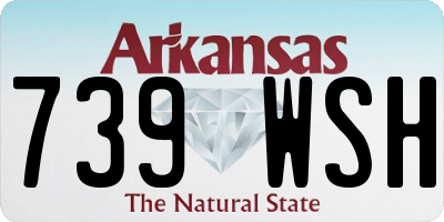 AR license plate 739WSH