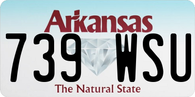AR license plate 739WSU