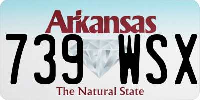 AR license plate 739WSX