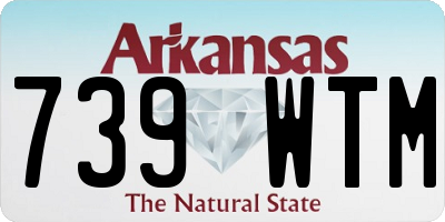 AR license plate 739WTM