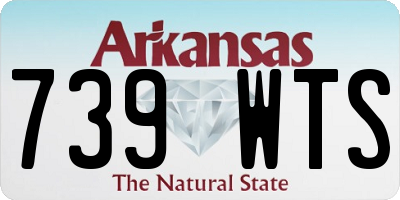 AR license plate 739WTS