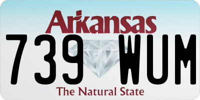 AR license plate 739WUM