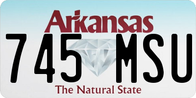 AR license plate 745MSU