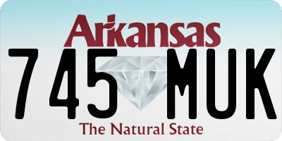 AR license plate 745MUK