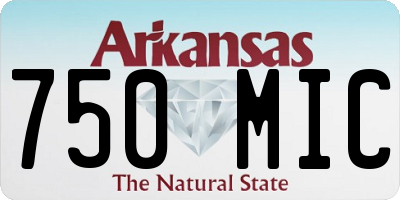 AR license plate 750MIC