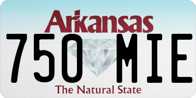 AR license plate 750MIE