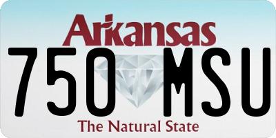 AR license plate 750MSU