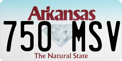 AR license plate 750MSV
