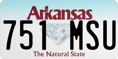 AR license plate 751MSU