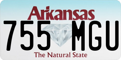 AR license plate 755MGU