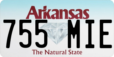 AR license plate 755MIE