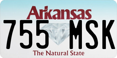 AR license plate 755MSK