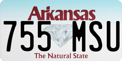 AR license plate 755MSU