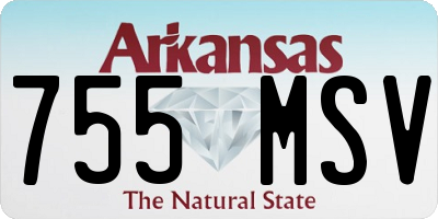 AR license plate 755MSV