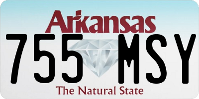 AR license plate 755MSY