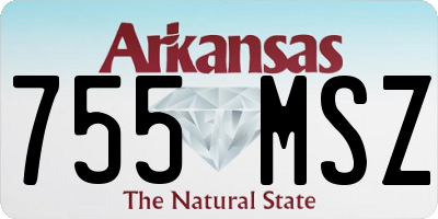 AR license plate 755MSZ