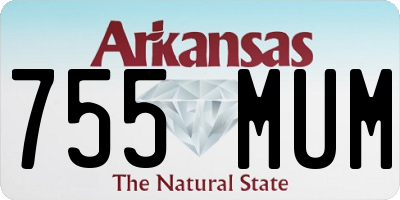 AR license plate 755MUM
