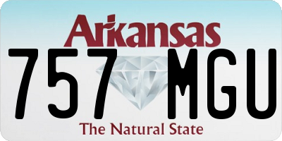 AR license plate 757MGU
