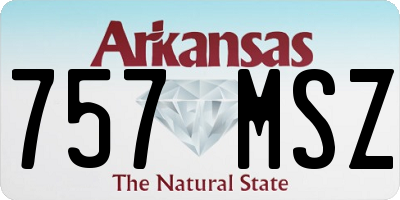 AR license plate 757MSZ