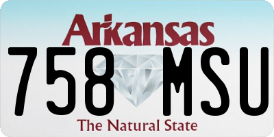 AR license plate 758MSU