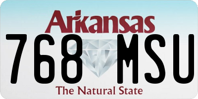 AR license plate 768MSU