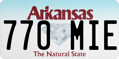 AR license plate 770MIE