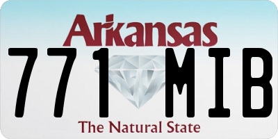 AR license plate 771MIB
