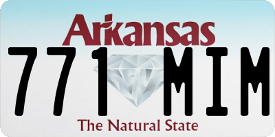AR license plate 771MIM