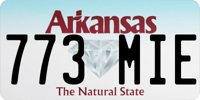 AR license plate 773MIE