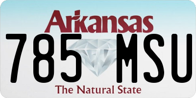 AR license plate 785MSU