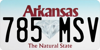 AR license plate 785MSV