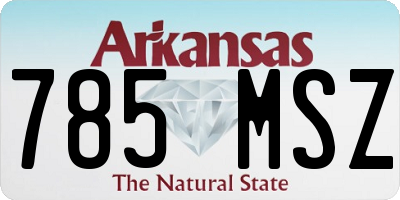 AR license plate 785MSZ