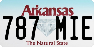 AR license plate 787MIE