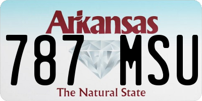 AR license plate 787MSU