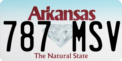 AR license plate 787MSV