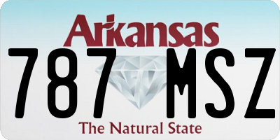 AR license plate 787MSZ