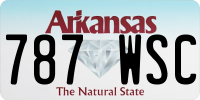 AR license plate 787WSC
