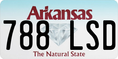 AR license plate 788LSD