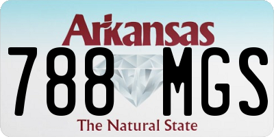 AR license plate 788MGS