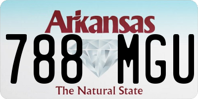 AR license plate 788MGU