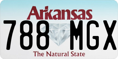 AR license plate 788MGX