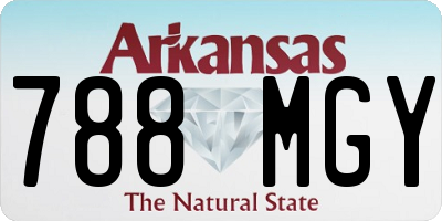 AR license plate 788MGY