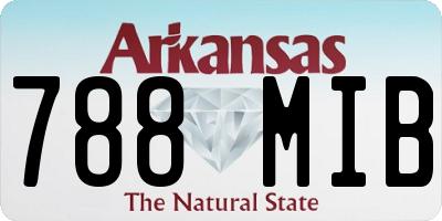 AR license plate 788MIB