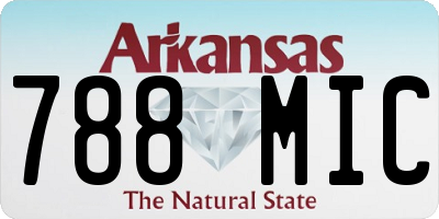 AR license plate 788MIC