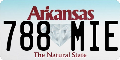 AR license plate 788MIE