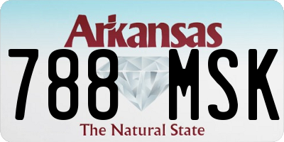 AR license plate 788MSK