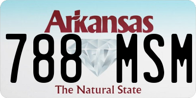 AR license plate 788MSM