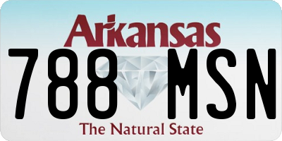 AR license plate 788MSN
