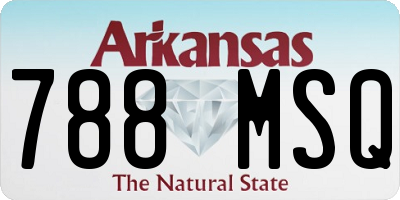 AR license plate 788MSQ