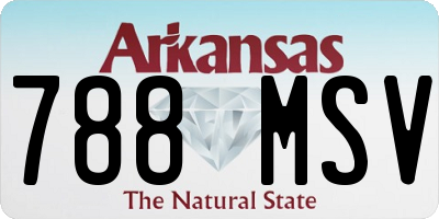 AR license plate 788MSV